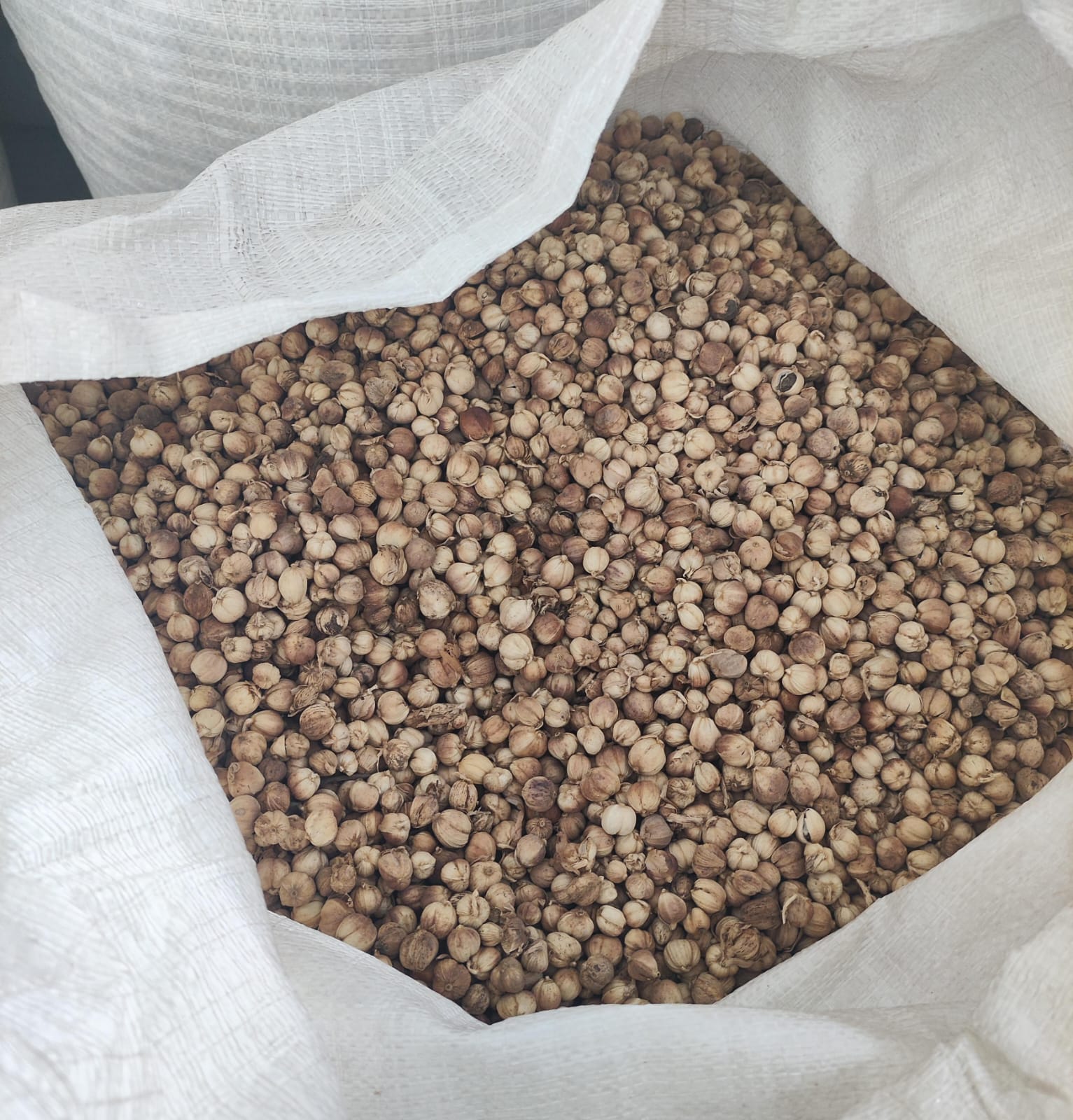 White Cardamom, Bulk White Cardamom, Natural Spice, Sulfur Free Spice, Export Grade Spice, Food Seasoning Spice, Herbal Raw Material - Image 6