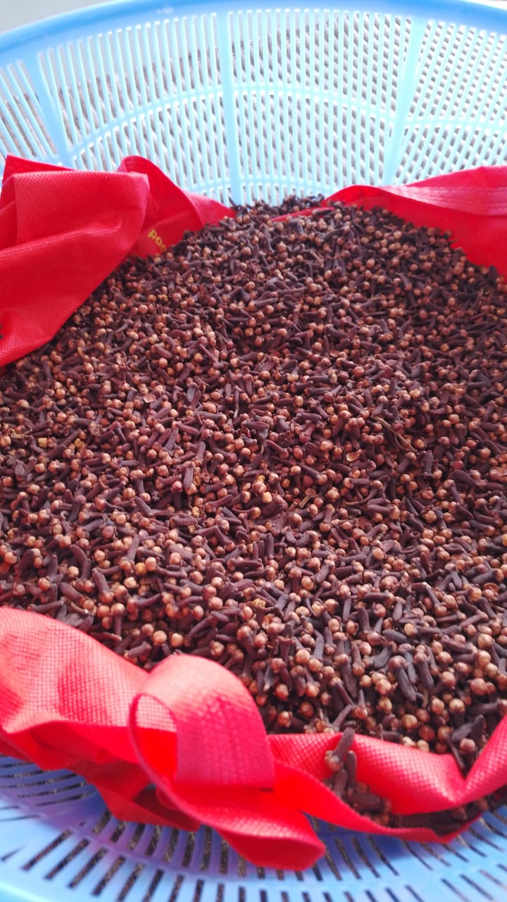 Natural Dried Clove Buds Wholesale Export Grade For Cooking, Pharmaceutical & Chemical Industry - Image 8