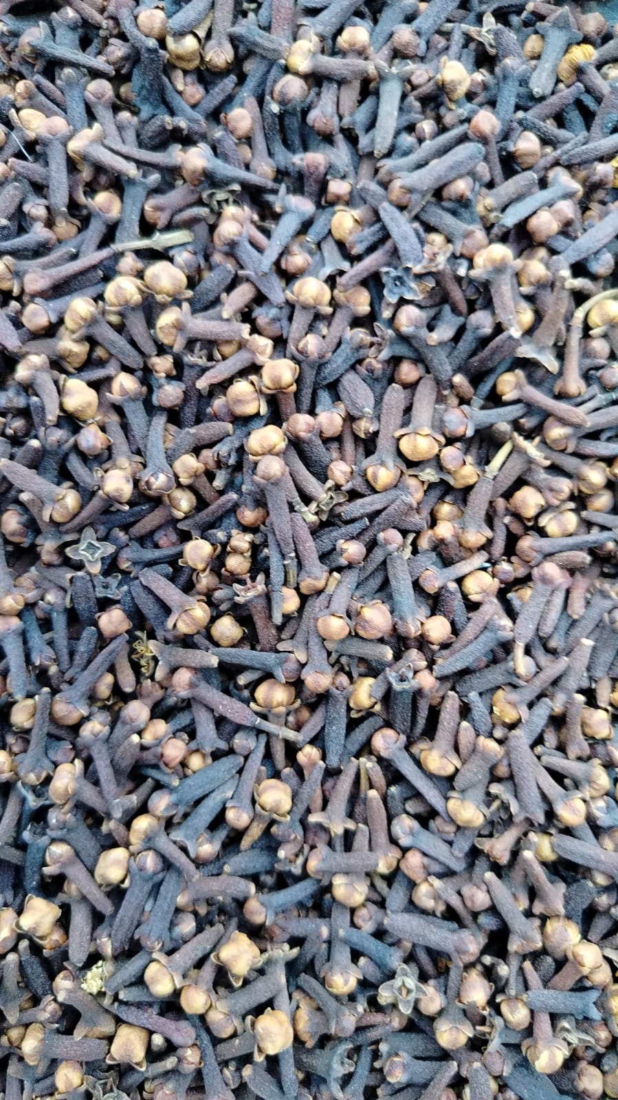Natural Dried Clove Buds Wholesale Export Grade For Cooking, Pharmaceutical & Chemical Industry - Image 3