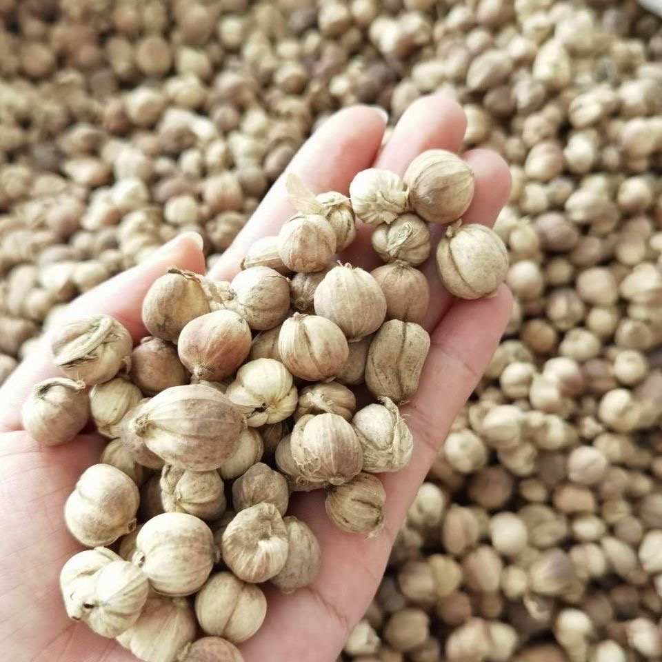 White Cardamom, Bulk White Cardamom, Natural Spice, Sulfur Free Spice, Export Grade Spice, Food Seasoning Spice, Herbal Raw Material