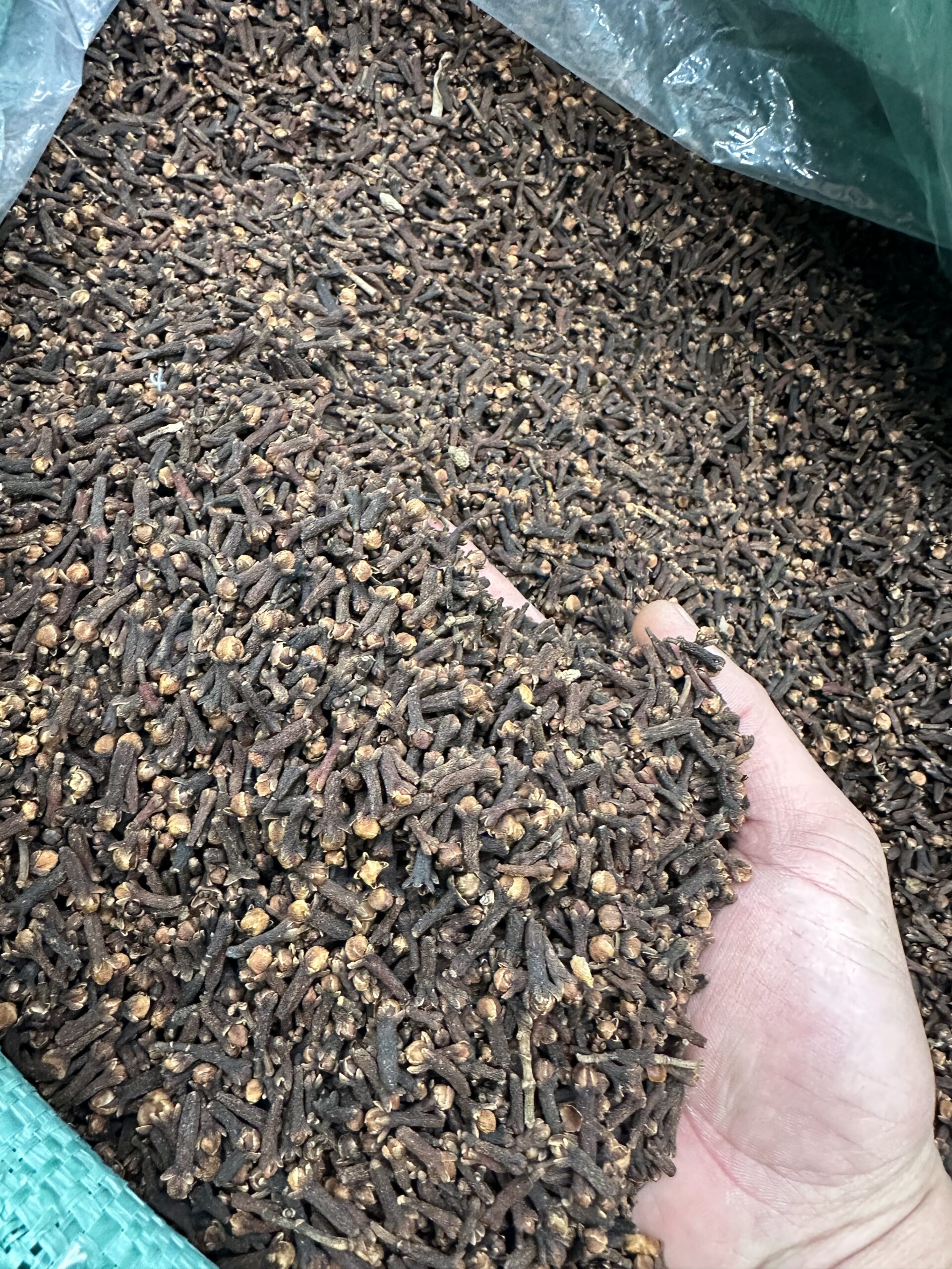 Natural Dried Clove Buds Wholesale Export Grade For Cooking, Pharmaceutical & Chemical Industry - Image 4