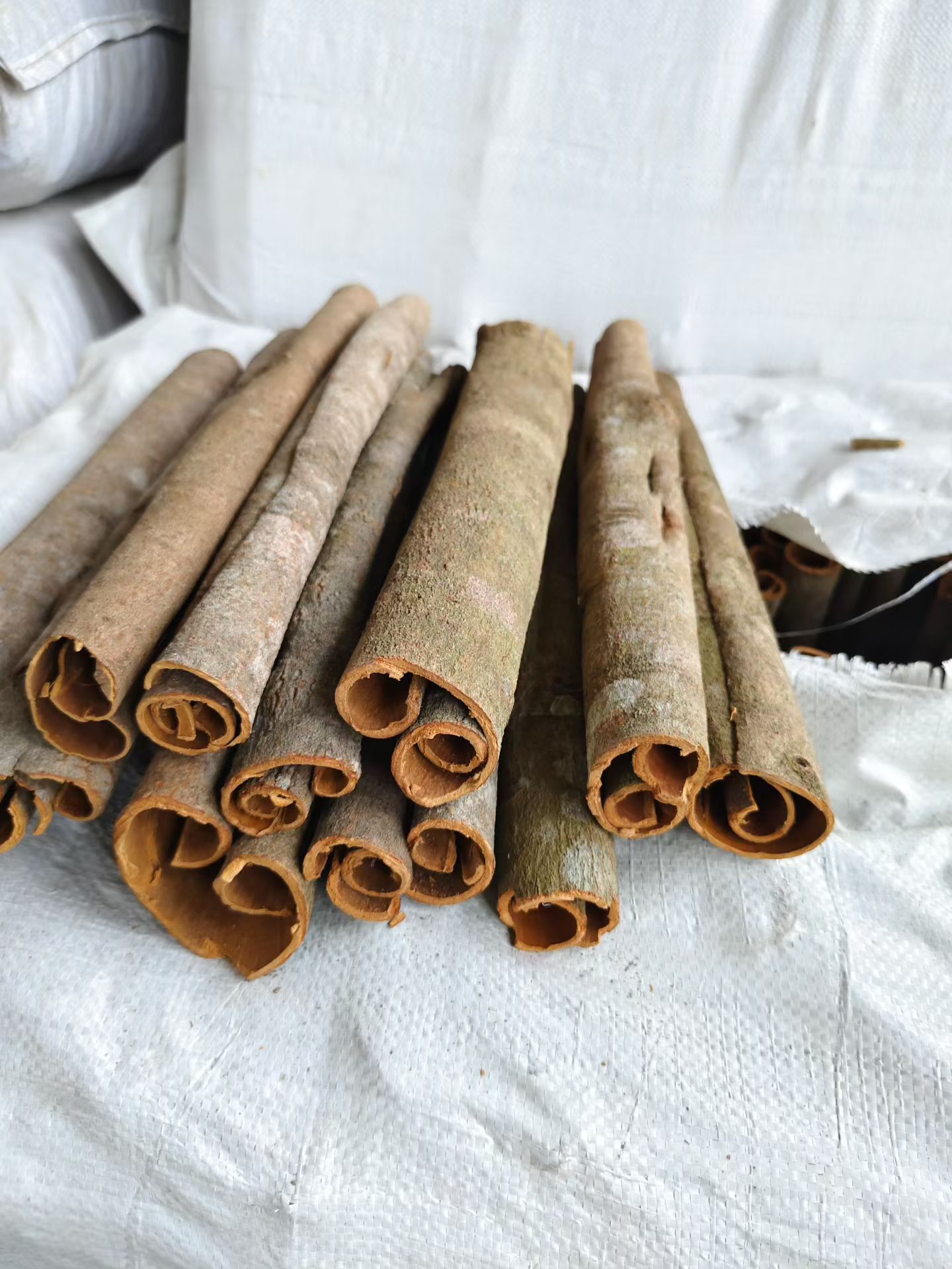 Premium Dried Cassia Bark — Natural Sun Dried & Sulfur Free - Image 7