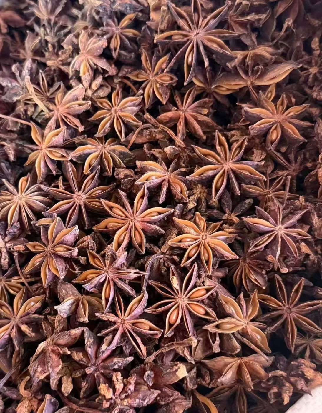 Premium Dried Star Anise — Natural Sun Dried & Sulfur Free Bulk Spice - Image 6