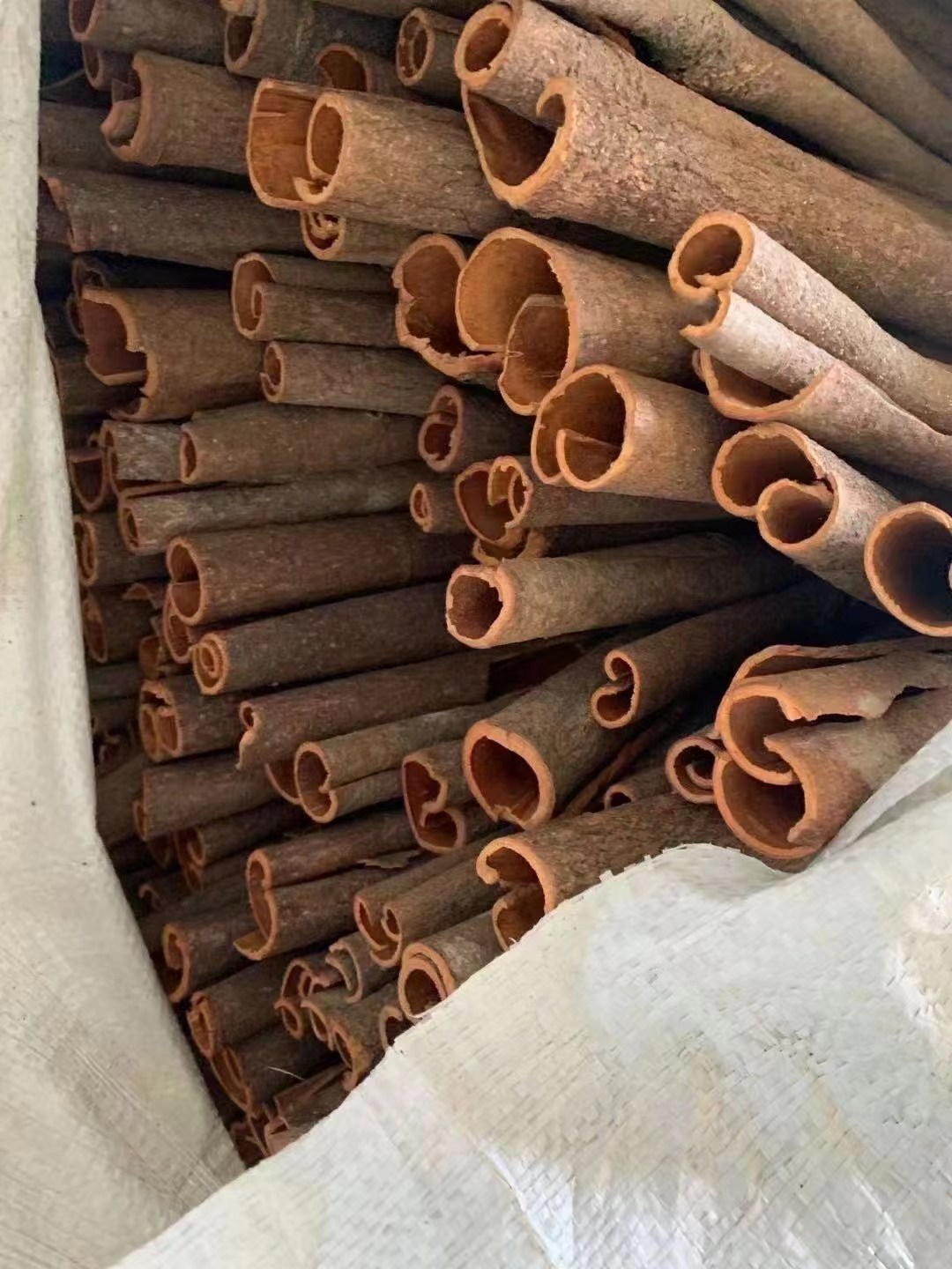 Premium Dried Cassia Bark — Natural Sun Dried & Sulfur Free - Image 3