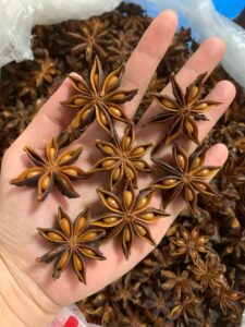 Premium Dried Star Anise — Natural Sun Dried & Sulfur Free Bulk Spice