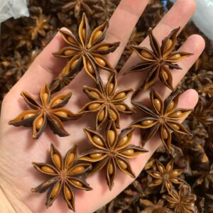 Premium Dried Star Anise — Natural Sun Dried & Sulfur Free Bulk Spice
