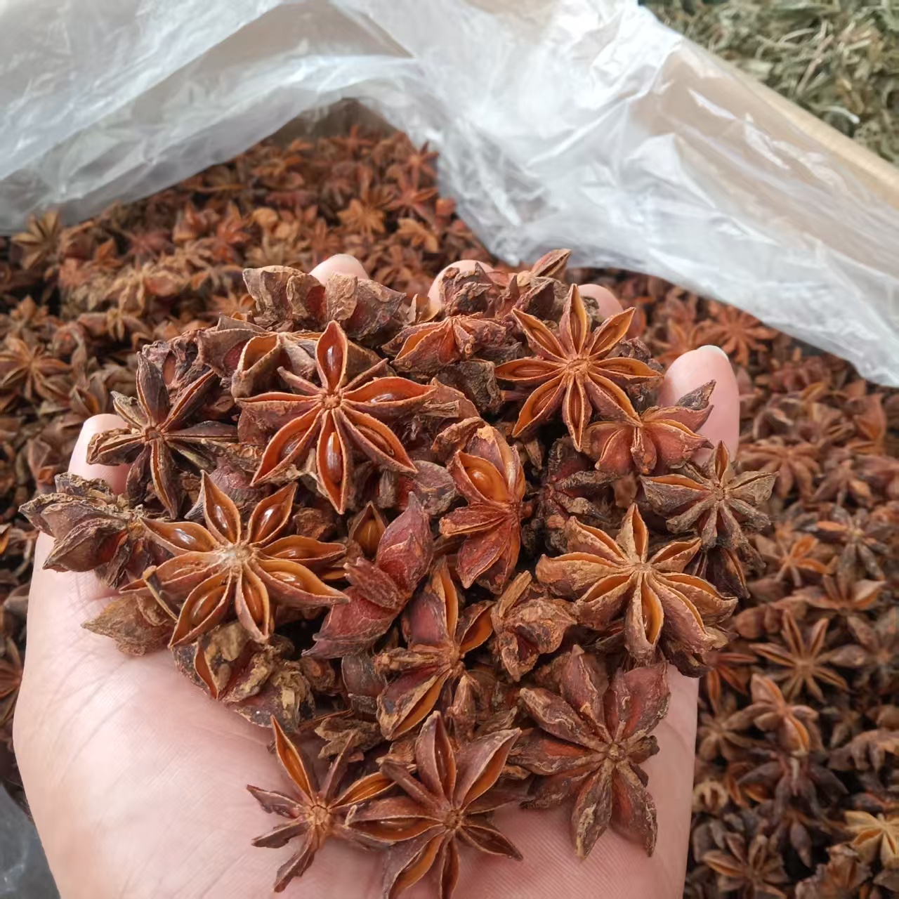 Premium Dried Star Anise — Natural Sun Dried & Sulfur Free Bulk Spice - Image 3