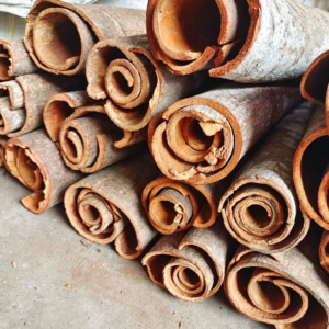 Premium Dried Cassia Bark — Natural Sun Dried & Sulfur Free