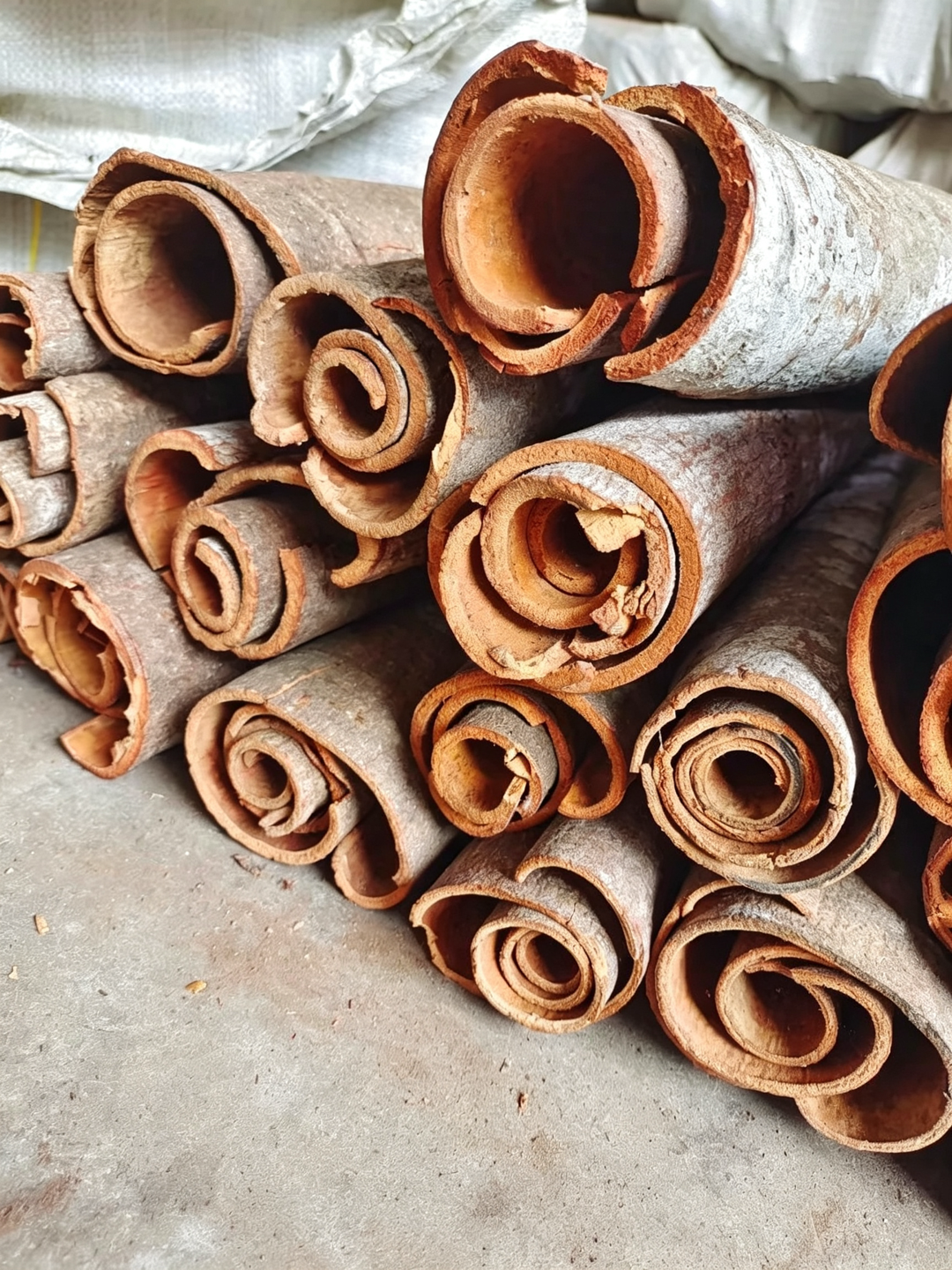 Premium Dried Cassia Bark — Natural Sun Dried & Sulfur Free