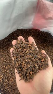 Natural Dried Clove Buds Wholesale Export Grade For Cooking, Pharmaceutical & Chemical Industry