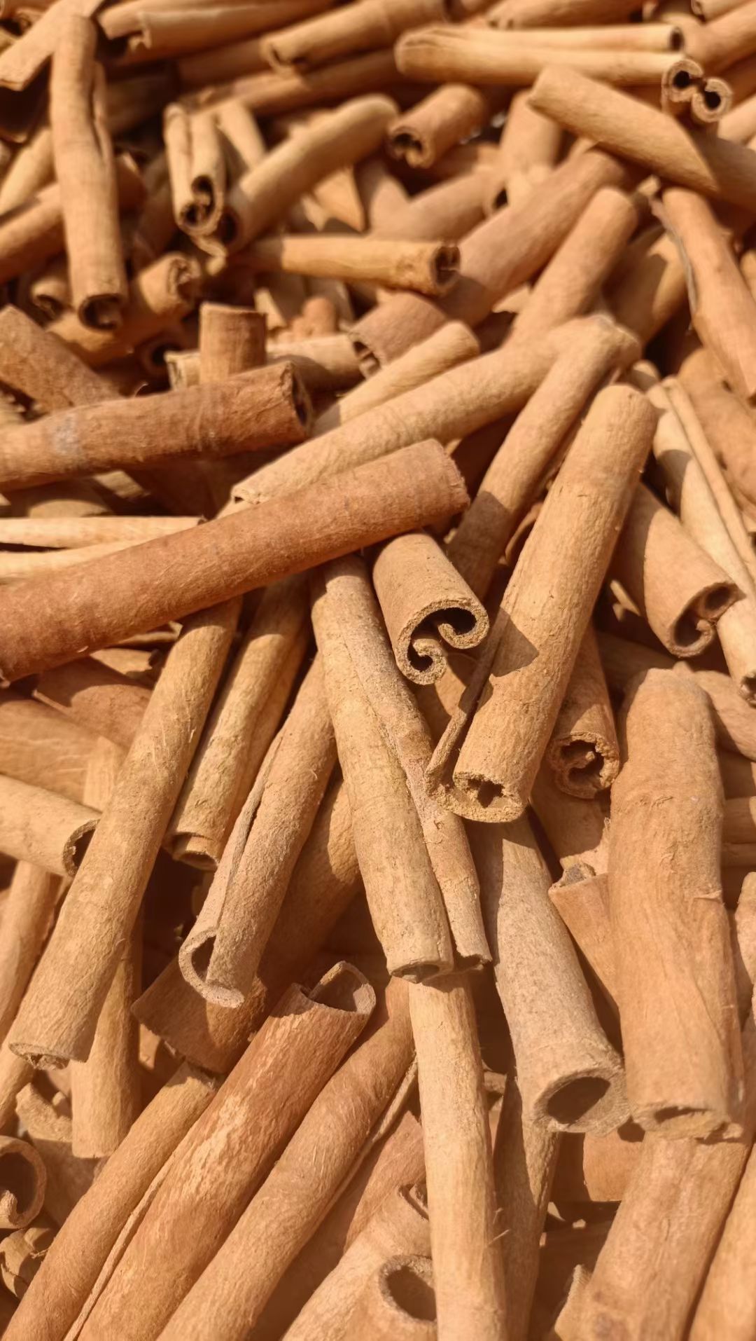 Premium Cinnamon Sticks — Natural Sun Dried Sulfur-Free Export Spice - Image 3